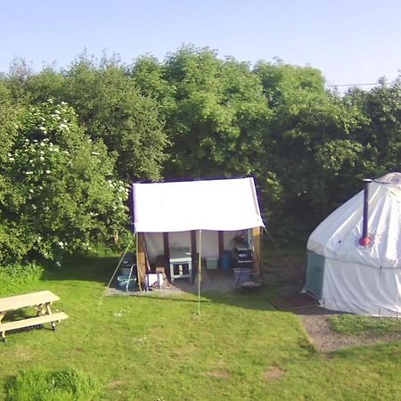 Mill Haven Place Glamping-Yurt 1 Talbenny المظهر الخارجي الصورة