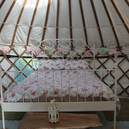 Mill Haven Place Glamping-Yurt 1 Talbenny المظهر الخارجي الصورة