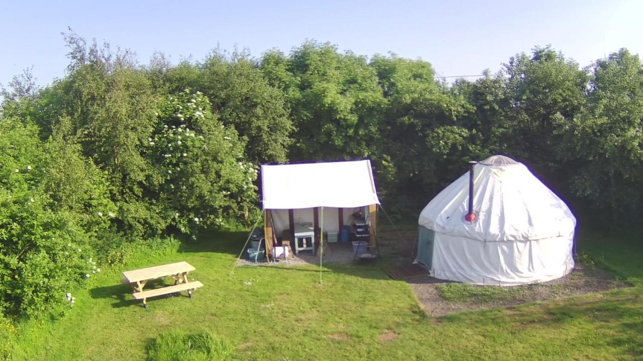 Mill Haven Place Glamping-Yurt 1 Talbenny المظهر الخارجي الصورة