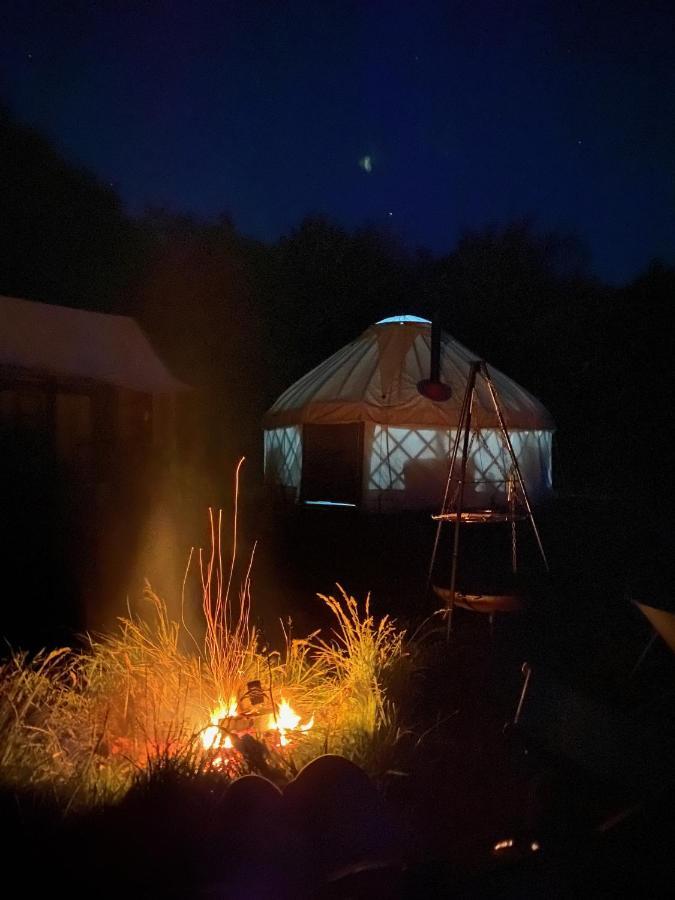 Mill Haven Place Glamping-Yurt 1 Talbenny المظهر الخارجي الصورة