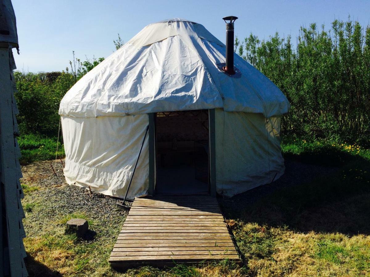 Mill Haven Place Glamping-Yurt 1 Talbenny المظهر الخارجي الصورة
