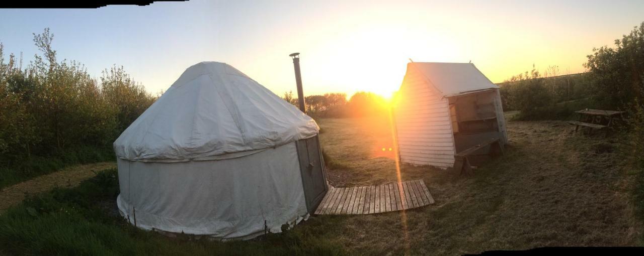 Mill Haven Place Glamping-Yurt 1 Talbenny المظهر الخارجي الصورة