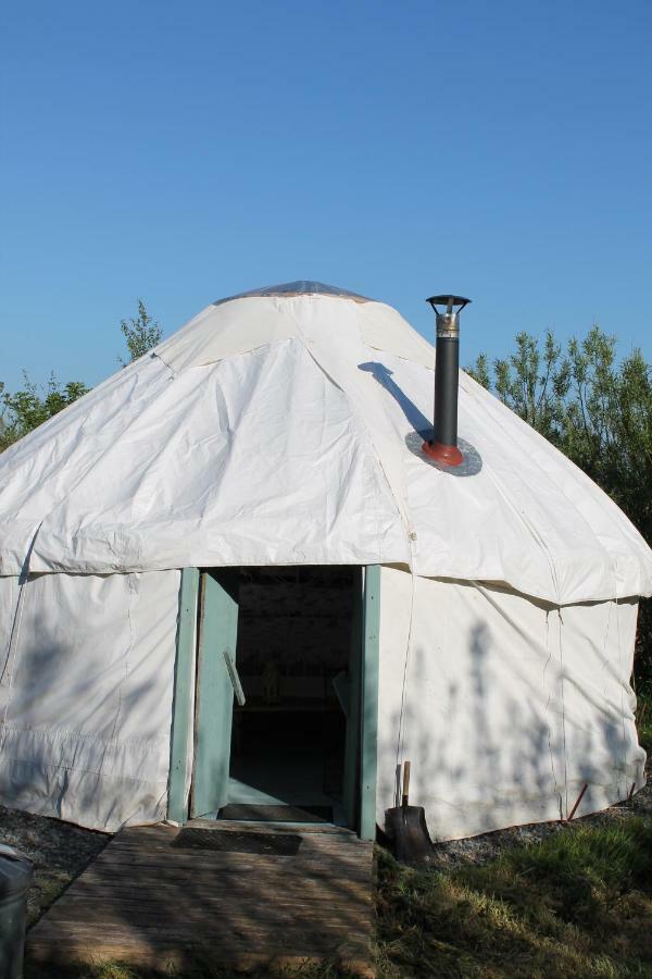 Mill Haven Place Glamping-Yurt 1 Talbenny المظهر الخارجي الصورة