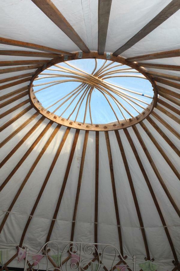 Mill Haven Place Glamping-Yurt 1 Talbenny المظهر الخارجي الصورة