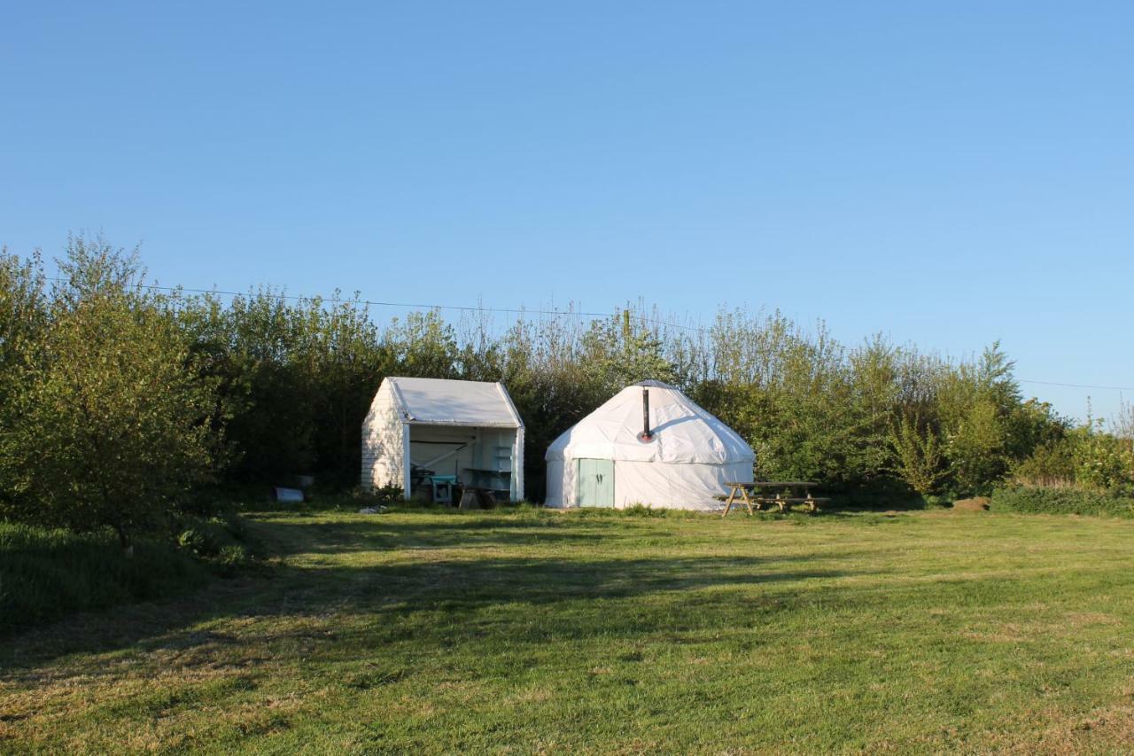 Mill Haven Place Glamping-Yurt 1 Talbenny المظهر الخارجي الصورة