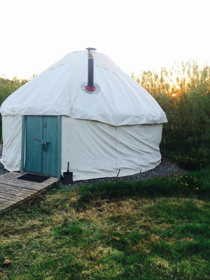 Mill Haven Place Glamping-Yurt 1 Talbenny المظهر الخارجي الصورة