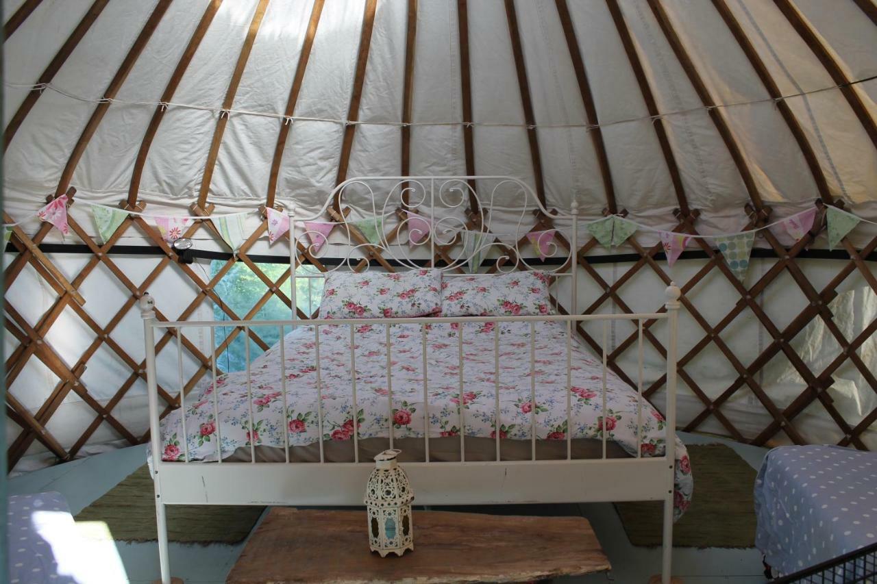 Mill Haven Place Glamping-Yurt 1 Talbenny المظهر الخارجي الصورة