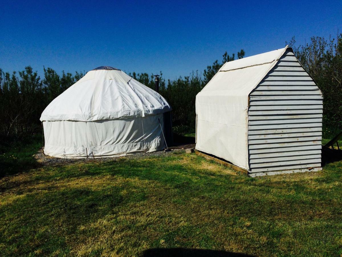 Mill Haven Place Glamping-Yurt 1 Talbenny المظهر الخارجي الصورة