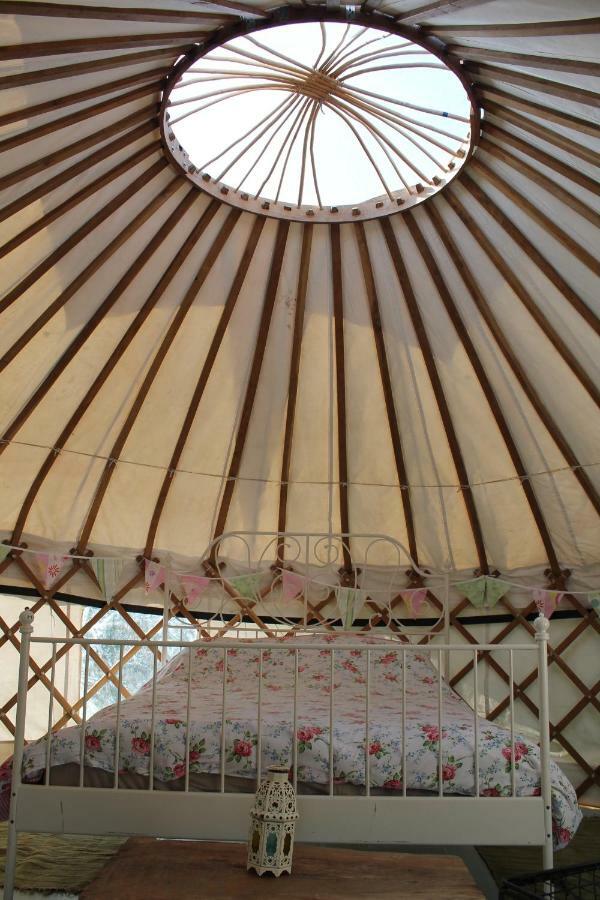 Mill Haven Place Glamping-Yurt 1 Talbenny المظهر الخارجي الصورة