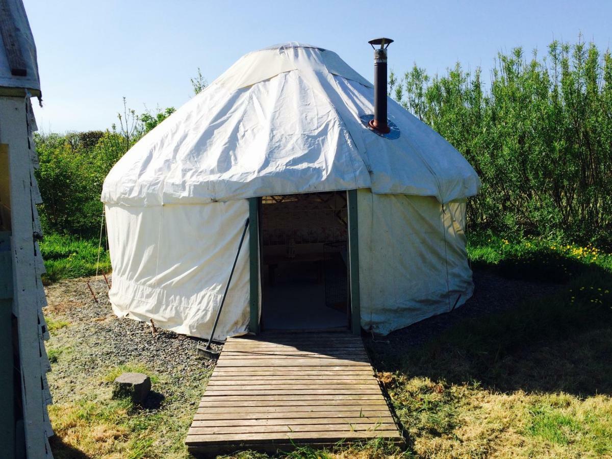 Mill Haven Place Glamping-Yurt 1 Talbenny المظهر الخارجي الصورة