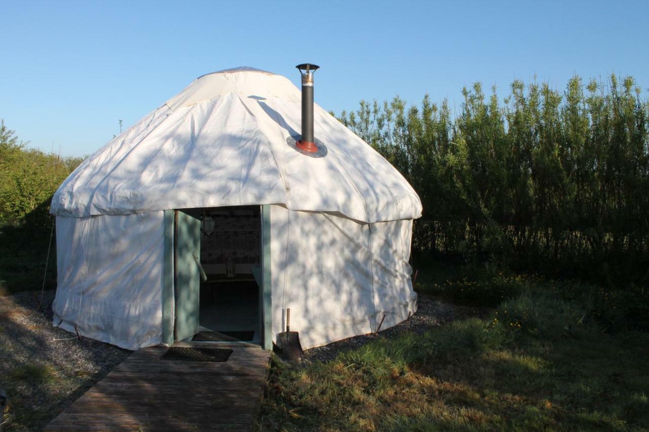 Mill Haven Place Glamping-Yurt 1 Talbenny المظهر الخارجي الصورة