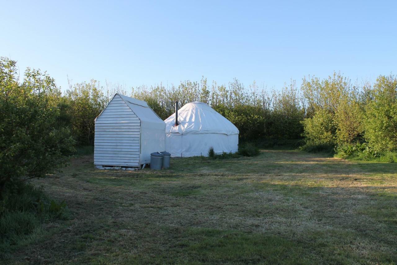 Mill Haven Place Glamping-Yurt 1 Talbenny المظهر الخارجي الصورة