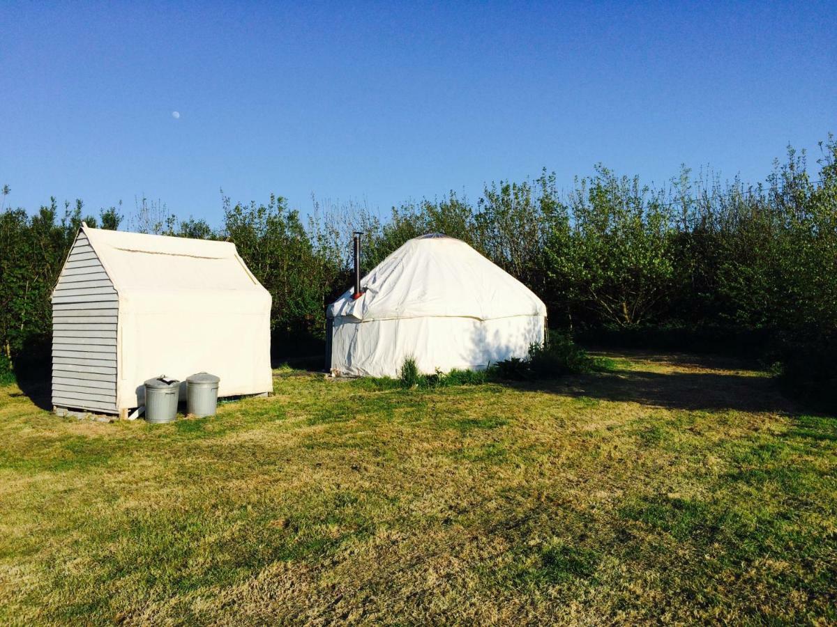 Mill Haven Place Glamping-Yurt 1 Talbenny المظهر الخارجي الصورة