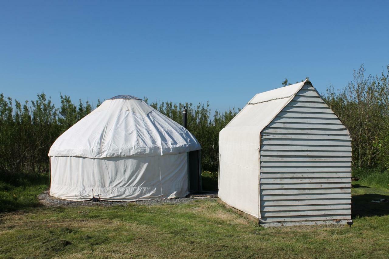 Mill Haven Place Glamping-Yurt 1 Talbenny المظهر الخارجي الصورة
